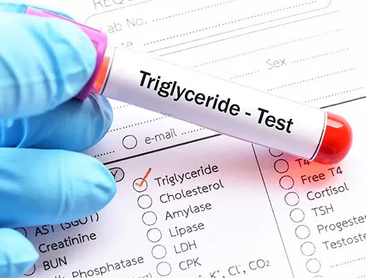 Triglycerides